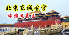 操骚逼爆浆中国北京-东城古宫旅游风景区